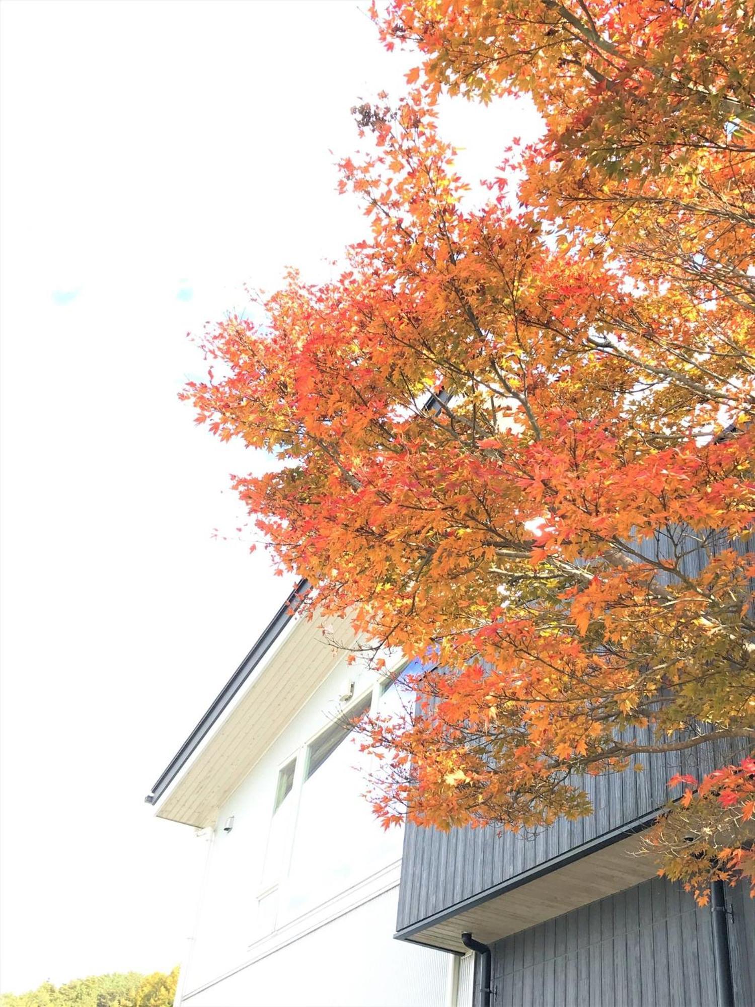 Sweet Villa Takasama - Vacation Stay 11775 Fujiyoshida Zewnętrze zdjęcie